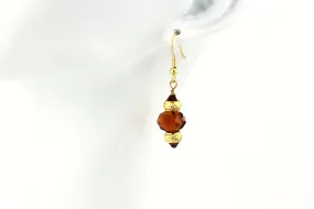 Colorful Stones Earrings