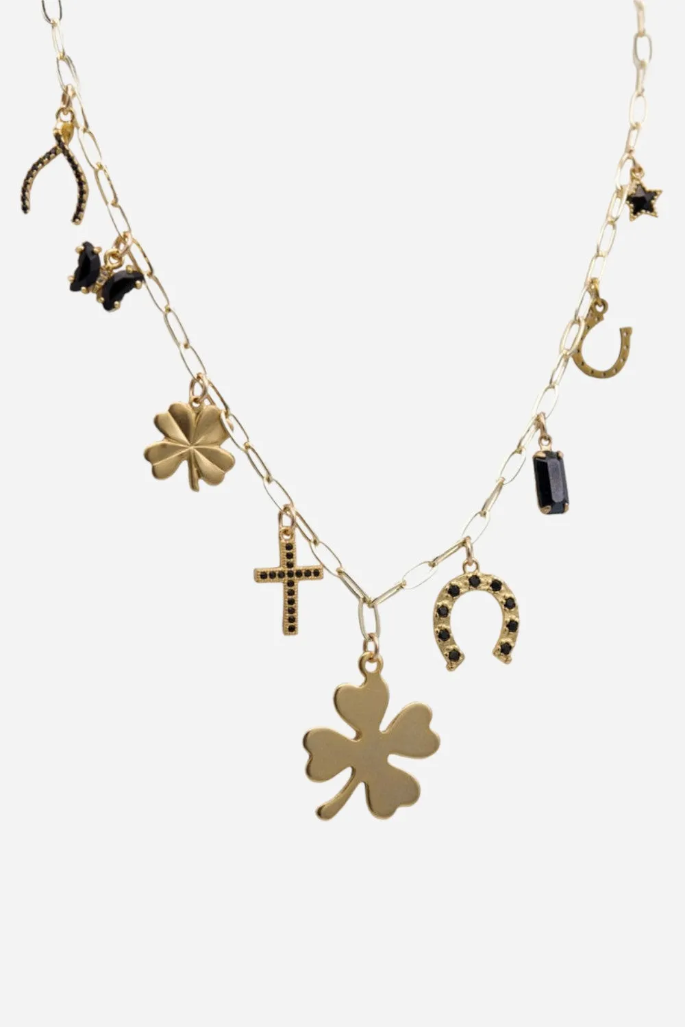 Farrah B Lucky Curio Charm Necklace