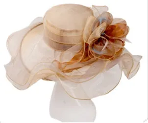 Organza Fancy Hat