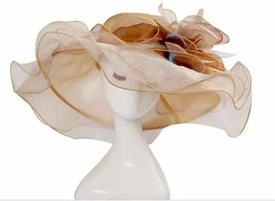 Organza Fancy Hat